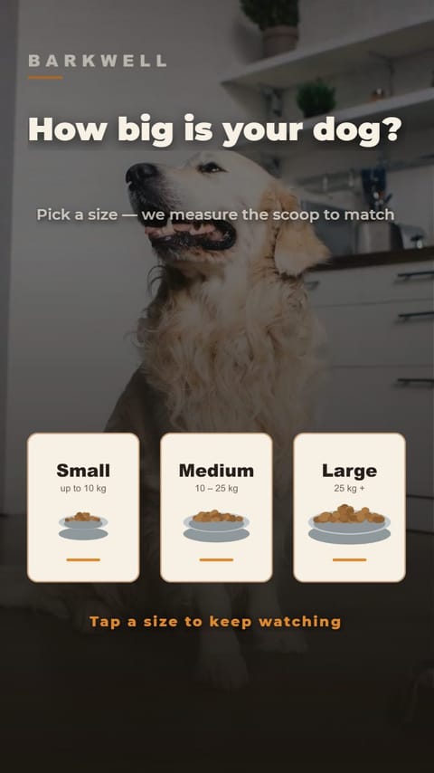 Pet Food – The Feeding Station playable ad template preview